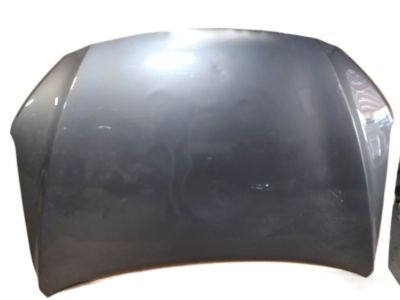درب موتور(کاپوت) سوناتا YFجنیون 66400-3B000