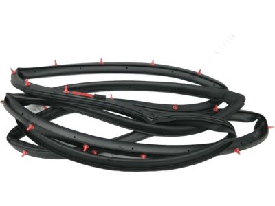 لاستیک دور درب جلو راست سانتافه نیو جنیون 82140-2W000